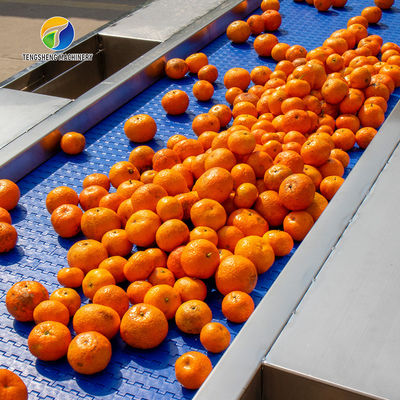 1500KG/H Fruit And Vegetable Processing Line cleaning Sorting Machine