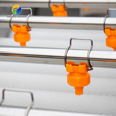 Multifunction Fruit And Vegetable Processing Line Parallel Brush Machine