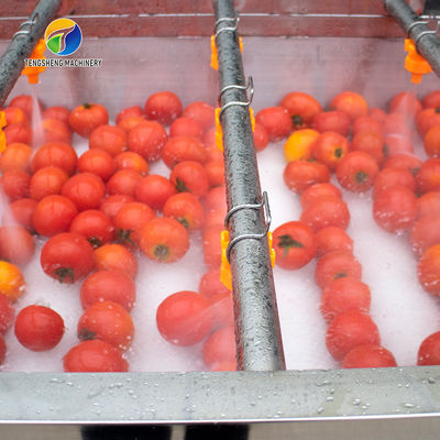 SS 380V Industrial Vegetable And Fruit Washing Machine