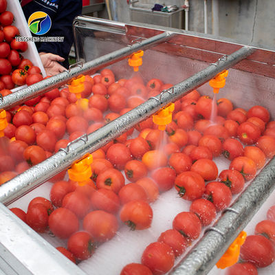Multifunction Fruit And Vegetable Processing Line Parallel Brush Machine