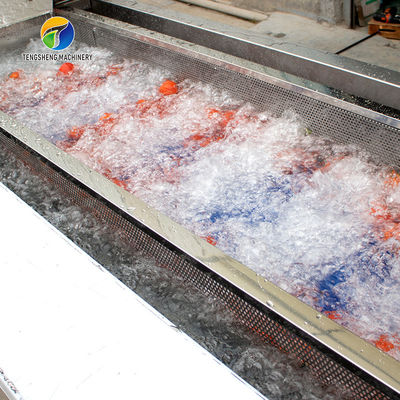SS 380V Industrial Vegetable And Fruit Washing Machine