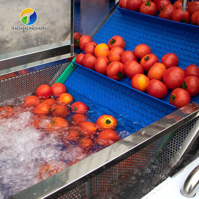 Multifunction Fruit And Vegetable Processing Line Parallel Brush Machine