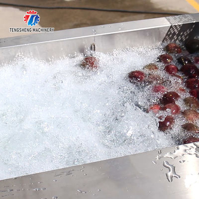 Fruit And Vegetable Wool Roller Bubble Cleaning Machine 1500KG/H