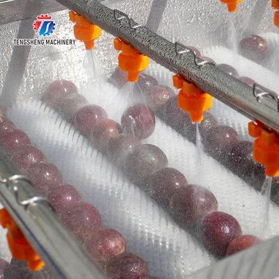 Fruit And Vegetable Wool Roller Bubble Cleaning Machine 1500KG/H