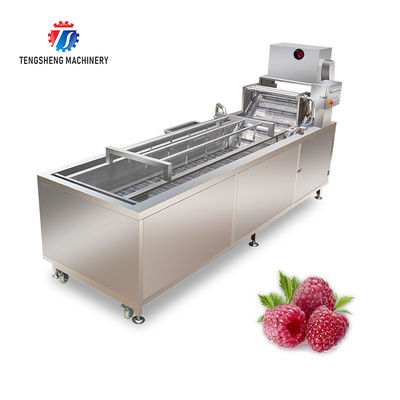 240KG Fruit Bubble High Pressure Spray Washing Machine 1500KG/H Multifunction