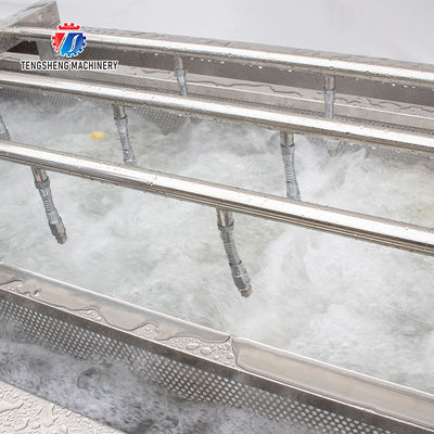 240KG Fruit Bubble High Pressure Spray Washing Machine 1500KG/H Multifunction