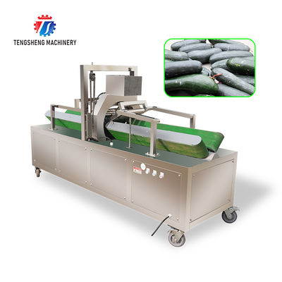 2.2KW 350KG Large wax gourd peeling machine wax gourd peeling thickness adjustable wax gourd peeling equipment