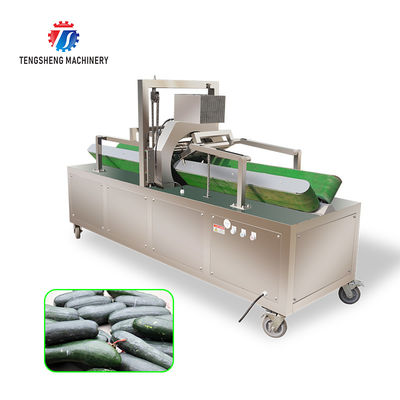 350KG 2.2KW Horizontal high efficiency stainless steel wax gourd peeling machine large output wax gourd peeling machine
