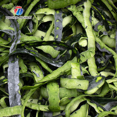 350KG 2.2KW Large wax gourd conveyor belt type peeler Horizontal wax gourd peeler supply planer