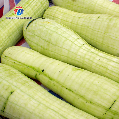 350KG 2.2KW Winter Melon Wax Gourd Vegetable Peeling Machine Horizontal Kitchen Equipment