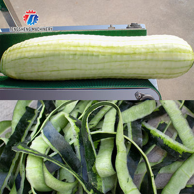 2.2KW 350KG Large wax gourd peeling machine wax gourd peeling thickness adjustable wax gourd peeling equipment