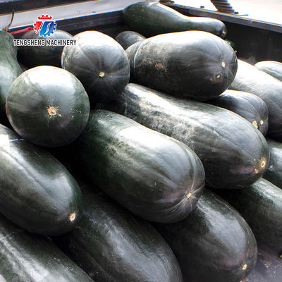 350KG 2.2KW Large wax gourd equipment wax gourd equipment automatic wax gourd peeling machine wax gourd peeling