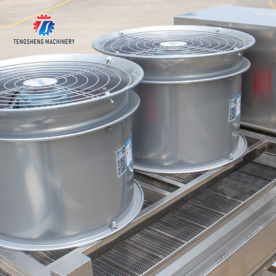 2KW 300KG Manual selection sorting table stainless steel air - drying selection machine is efficient