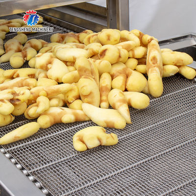 2KW 300KG Manual selection sorting table stainless steel air - drying selection machine is efficient