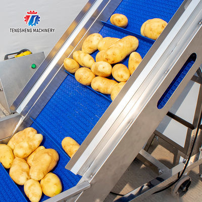 1000kg/H Pineapple Cutting Machine Fruit Vegetable Production Line