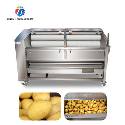 1500KG/H Sweet potato cleaning and peeling machine manufacturers supply brush peeling cleaning machine