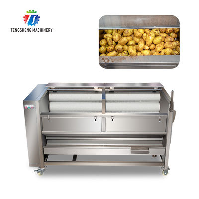 1500KG/H Sweet potato cleaning and peeling machine manufacturers supply brush peeling cleaning machine