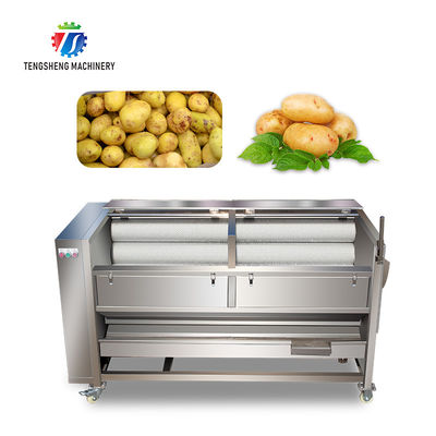 1500KG/H Sweet potato cleaning and peeling machine manufacturers supply brush peeling cleaning machine