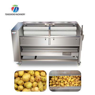 1500KG/H Sweet potato cleaning and peeling machine manufacturers supply brush peeling cleaning machine