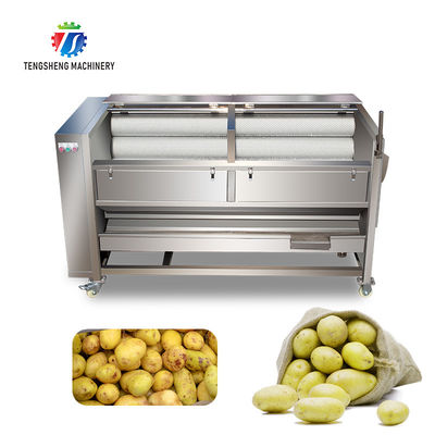 1500KG/H Hair stick cleaning and peeling machine Fruit and vegetable washing machine sweet potato peeling and washing ma
