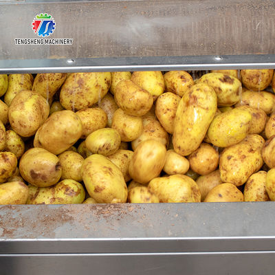 Industrial 1500KG/H Potato Washing And Peeling Machine Vegetable Brush Roller Cleaning Equipment