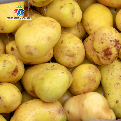 1500KG/H Hair stick cleaning and peeling machine Fruit and vegetable washing machine sweet potato peeling and washing ma