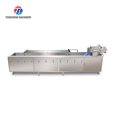 SS Fruit Bubble Washing Machine Commercial Vegetable Cleaning Equipment