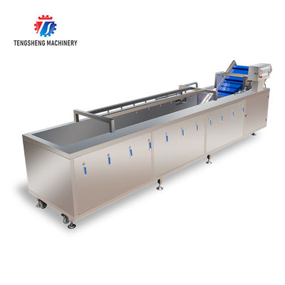 2000KG/H Fruit And Vegetable Washing Machine Bubble Washing Equipment