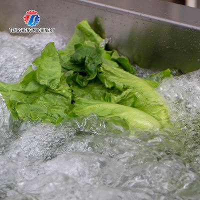 340KG Multi-functional vegetable washing machine large vegetable washing machine continuous type