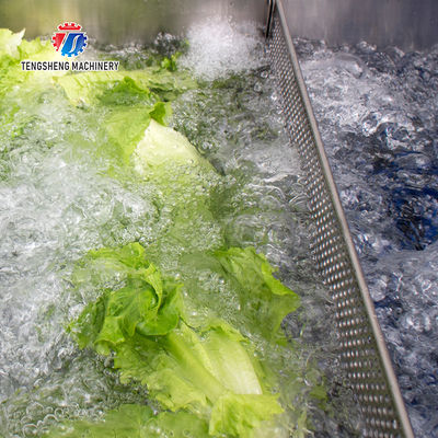 340KG Multi-functional vegetable washing machine large vegetable washing machine continuous type