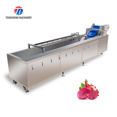 SS Fruit Bubble Washing Machine Commercial Vegetable Cleaning Equipment