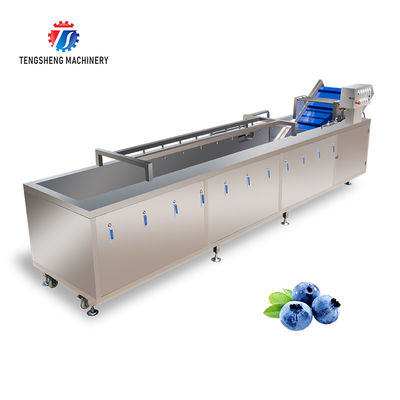 2000KG/H Fruit And Vegetable Washing Machine Bubble Washing Equipment