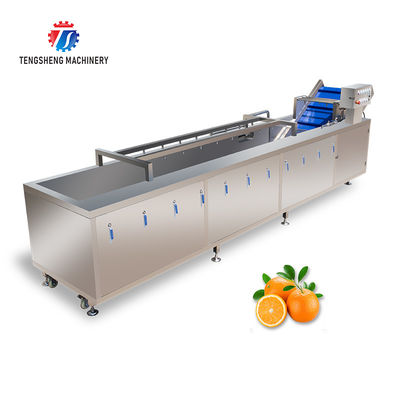 340KG Multi-functional vegetable washing machine large vegetable washing machine continuous type