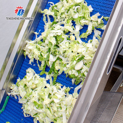 Supermarket Fruit And Vegetable Processing Line Cutting Lifting Washing