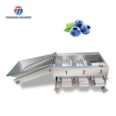 150KG 380V Lemon screening and grading machine stainless steel fruit sorting machine citrus fruit sorting machine