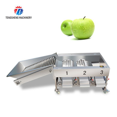 150KG 380V Lemon screening and grading machine stainless steel fruit sorting machine citrus fruit sorting machine