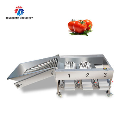 150KG 380V Lemon screening and grading machine stainless steel fruit sorting machine citrus fruit sorting machine
