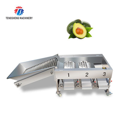 150KG 380V Lemon screening and grading machine stainless steel fruit sorting machine citrus fruit sorting machine