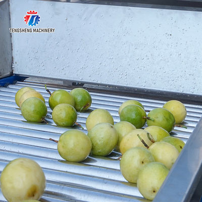 150KG 380V Lemon screening and grading machine stainless steel fruit sorting machine citrus fruit sorting machine