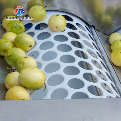 150KG 380V Lemon screening and grading machine stainless steel fruit sorting machine citrus fruit sorting machine