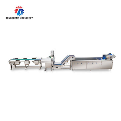 165MM Belt Industrial Vegetable Processing Machine Fruit Selection Washing Cutting Machine