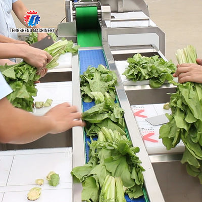 165MM Belt Industrial Vegetable Processing Machine Fruit Selection Washing Cutting Machine
