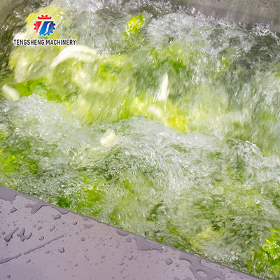 Vibration Salad Making Vortex Fruit And Vegetable Washing Machine