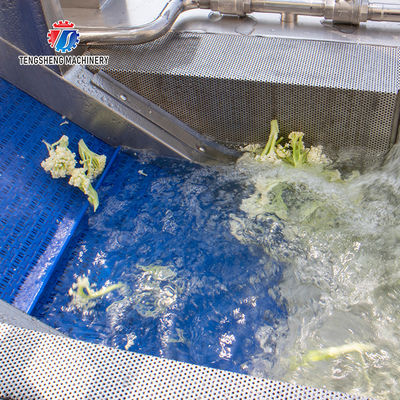 180KG 304 stainless steel eddy current vegetable washing machine Eddy current cleaning machine