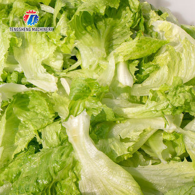 Automatic Bubble Vortex Fruit and Vegetable Vegetable Washing Machine