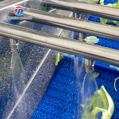 Automatic Bubble Vortex Fruit and Vegetable Vegetable Washing Machine