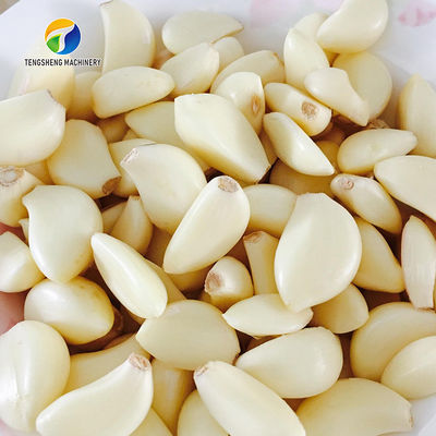 2.2KW Garlic Processing Machine Skin Removing Garlic Peeler