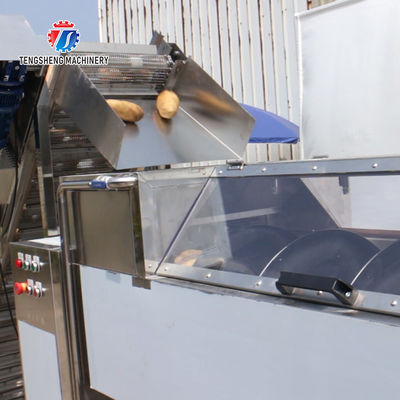 580KG Fruit and vegetable cleaning equipment continuous cleaning machine root potato sweet potato peeling machine