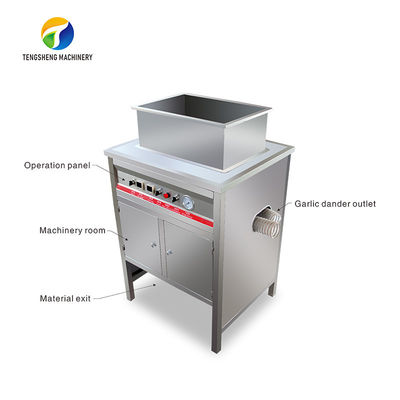 OEM Electric Garlic Processing Machine Skin Removing Equipment