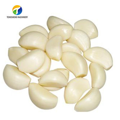 2.2KW Garlic Peeling Machine Industrial Factory Food Processor